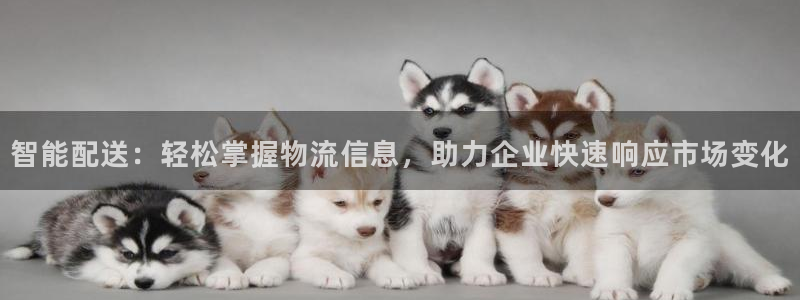 超凡国际初始资金密码是什么：智能配送