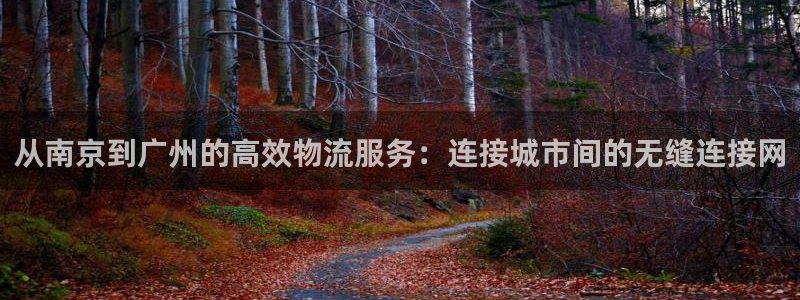 超凡国际合法吗：从南京到广州的高效物流服务：连接城市间的无缝