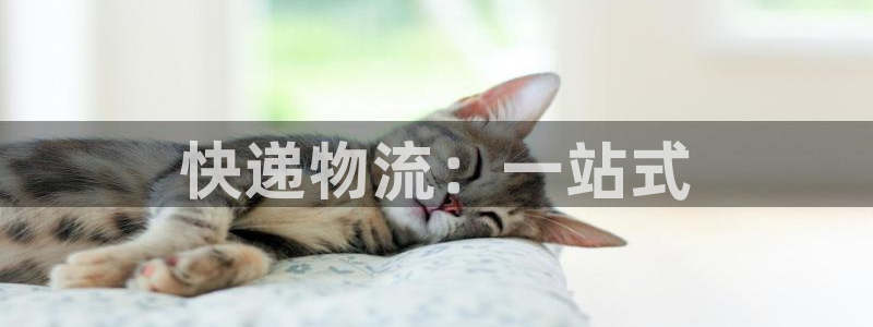 超凡国际官方官网：快递物流：一站式
