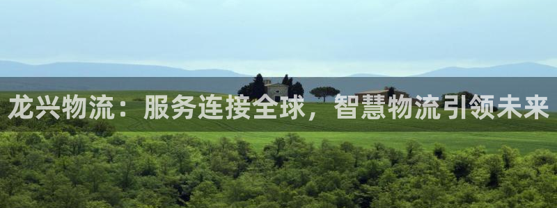 超凡国际充值不处理会怎么样：龙兴物流：服务连接全球，智慧物流