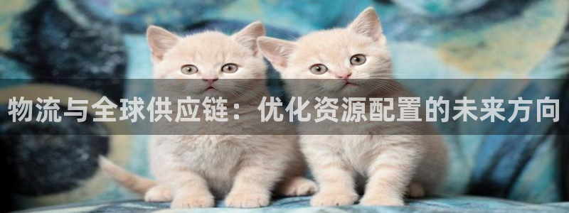 超凡国际自行车图片大全：物流与全球供应链：优化资源配置的未来