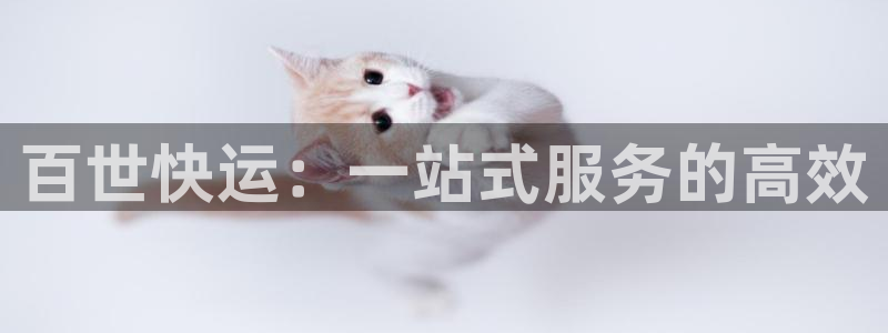加拿大超凡国际是什么：百世快运：一站式服务的高效