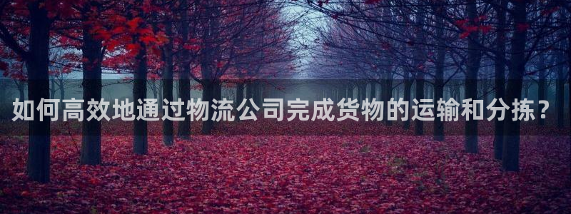 超凡国际下载不了：如何高效地通过物流公司完成货物的运输和分拣