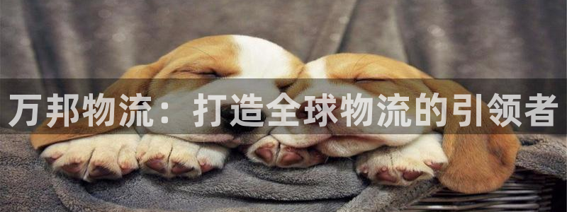 超凡国际官网平台：万邦物流：打造全球
