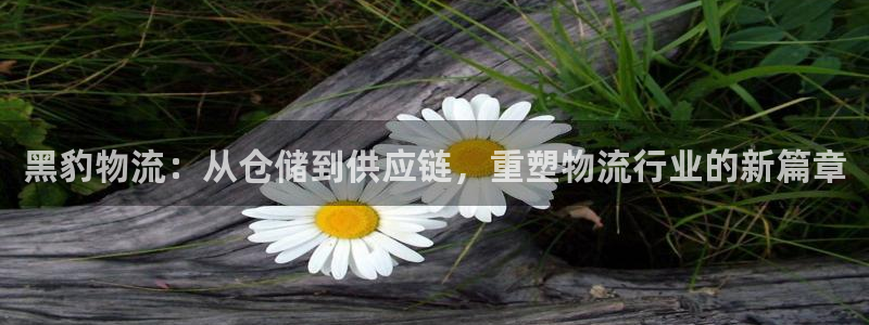 超凡国际客服一直不回消息怎么办：黑豹