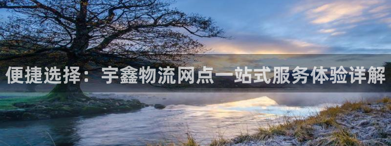 超凡国际注册登录流程：便捷选择：宇鑫