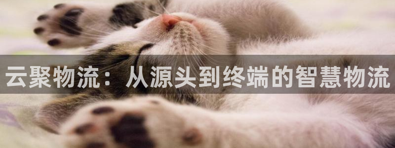 超凡国际为什么没有赢过一次：云聚物流