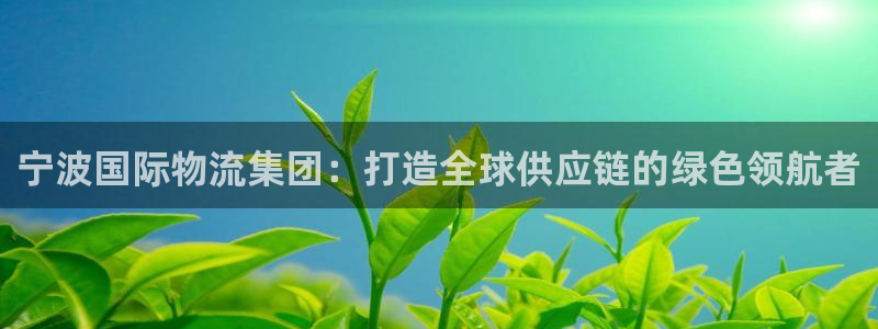 超凡国际如何看012路计划：宁波国际