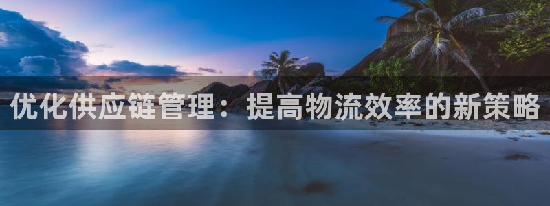 超凡国际南宫娱乐官网：优化供应链管理