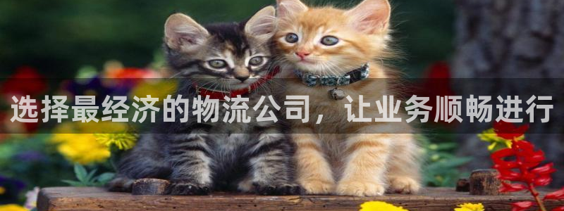 超凡国际app怎么注册账号：选择最经