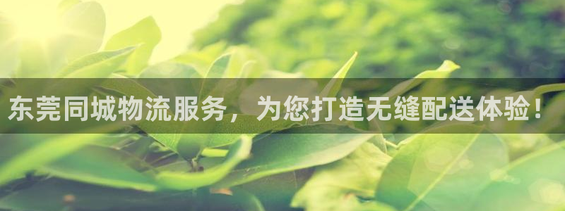 超凡国际pg麻将胡了2老是空转:东莞
