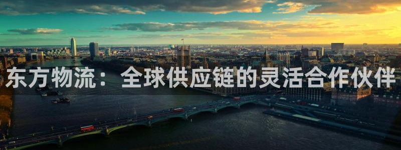 超凡国际网站平台：东方物流：全球供应链的灵活合作伙伴