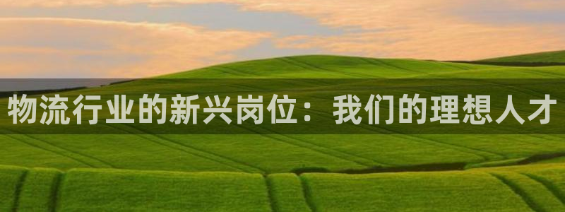 超凡国际充值不到账怎么回事：物流行业