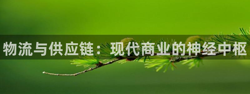 超凡国际注册登录链接：物流与供应链：现代商业的神经中枢