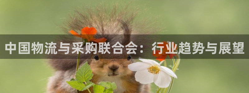 超凡国际选28ng官网：中国物流与采