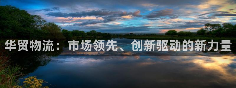 超凡国际怎么下载：华贸物流：市场领先、创新驱动的新力量