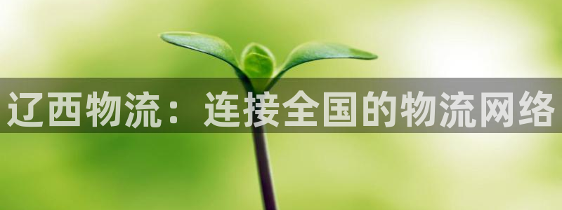 超凡国际是南宫旗下的吗：辽西物流：连