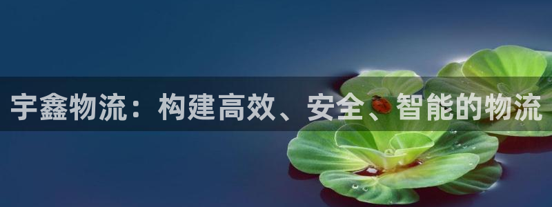 超凡国际充值:宇鑫物流:构建高效、安