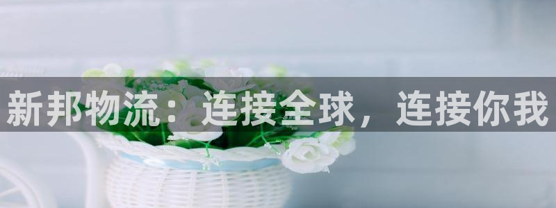 超凡国际注册登录流程:新邦物流:连接